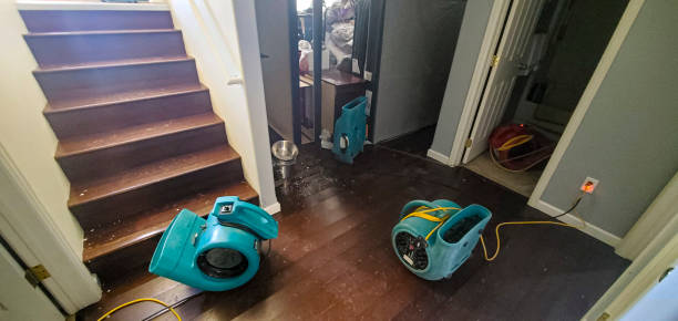 Best Commercial water damage restoration  in New Castle, IN