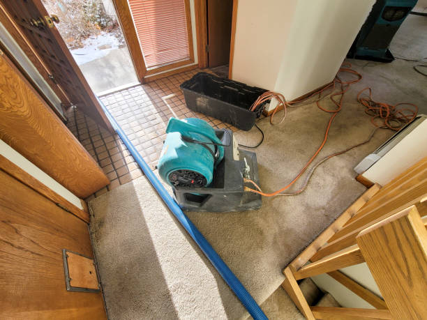 Best Carpet water damage restoration  in New Castle, IN