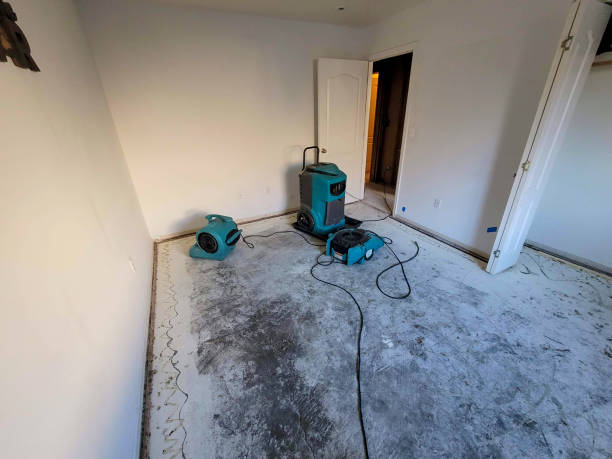Reliable IN Water damage restoration Solutions
