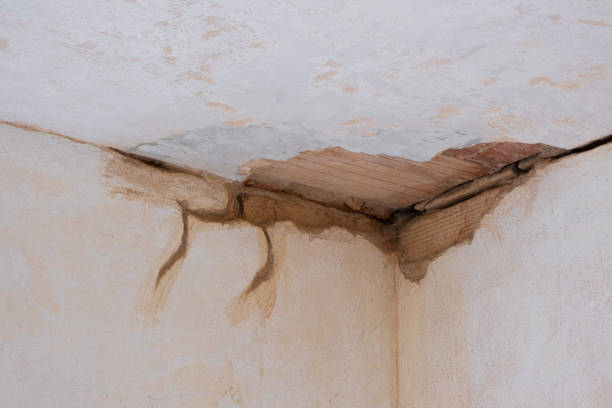 Best Residential water damage restoration  in New Castle, IN