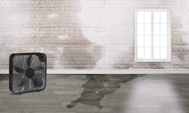 Best Local water damage restoration  in New Castle, IN