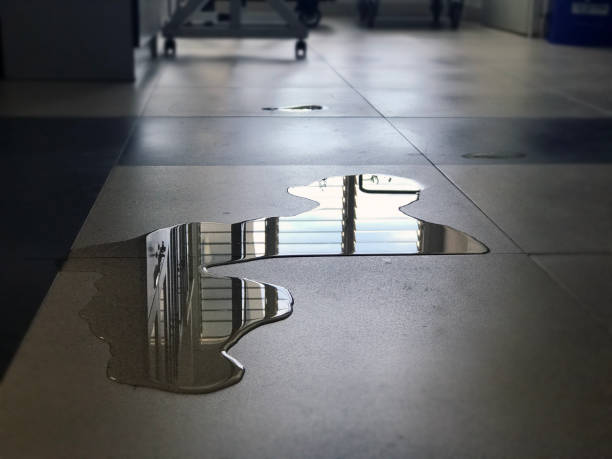 Best Water damage restoration company  in New Castle, IN