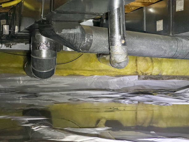 Best Flood restoration services  in New Castle, IN