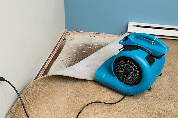 Best Emergency water damage restoration  in New Castle, IN